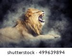 Close male lion in smoke on dark background