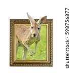 Kangaroo in old wooden frame...