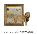 Lion in old wooden frame with...