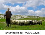 Shepherd with his sheep on pasture