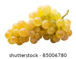 White grape  riesling  fully...