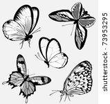 set  black white butterflies of ... | Shutterstock .eps vector #73953295