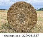 Small photo of Round hay bales are harder to handle than square bales but compress the hay more tightly.