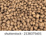 Small photo of pile of dirty raw unpeeled potatoes - full frame unadorned potato background