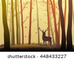 silhouette of a deer in the... | Shutterstock .eps vector #448433227