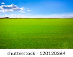 Background image of lush grass...