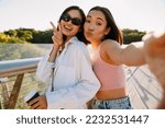 Small photo of Selfie of young cute asian woman with puckered lips with her happy smiling friend in glasses doing victory gesture , while standing outdoors