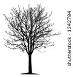 tree  vector  | Shutterstock .eps vector #1342784