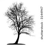 tree  vector  | Shutterstock .eps vector #3144947