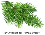 Green Fluffy Pine Branch....