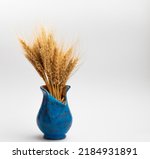 Small photo of Sheaf of wheat ears in a blue vase, on white background.