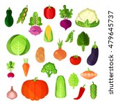 vegetable summer harvest  vegan ... | Shutterstock .eps vector #479645737