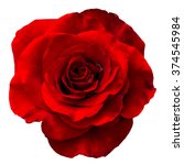 Red Rose Isolated On The White...