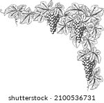 bunches of grapes on a grape... | Shutterstock .eps vector #2100536731