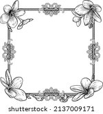 a plumeria frangipani tropical... | Shutterstock .eps vector #2137009171