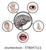 A Ear Vector clipart image - Free stock photo - Public Domain photo ...