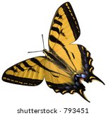 Eastern Tiger Swallowtail  ...
