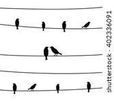 A Silhouette Of Birds On Wires.