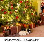 Colorful Presents And A Dog...