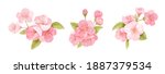 spring sakura cherry blooming... | Shutterstock .eps vector #1887379534
