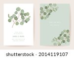 wedding eucalyptus  green leaf... | Shutterstock .eps vector #2014119107