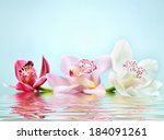 Beautiful Romantic Orchid...