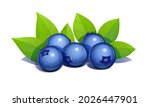 Blueberry With Leaves  Isolated ...