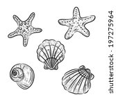 a sketch of starfish  scallop... | Shutterstock . vector #197275964