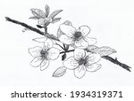 flower hand drawn illustration... | Shutterstock . vector #1934319371