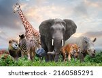 Group of wildlife animals in...