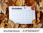 autumn background with October calendar, pyracantha and leaves.