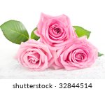 Three Beautiful Pink Roses On...
