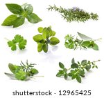 collection of fresh herbs ... | Shutterstock . vector #12965425