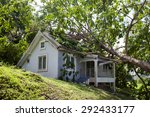 falling tree after hard storm on damage house 