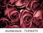 Romantic Vintage Rose Background