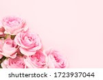 Bouquet of pink roses on pink background. Mother's day, Valentines Day, Birthday celebration concept. Greeting card. Copy space for text, top view
