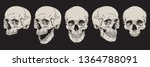 anatomically correct human... | Shutterstock .eps vector #1364788091