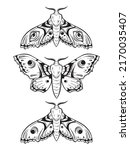 hawk moths hand drawn line art... | Shutterstock .eps vector #2170035407