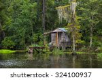 Old House In A Swamp In New...
