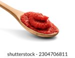 Small photo of Natural tomato puree in wooden spoon isolated on white, including clipping path