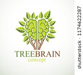 tree brain concept  the wisdom... | Shutterstock .eps vector #1174622287