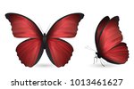 Set Of Red Butterflies Isolated ...