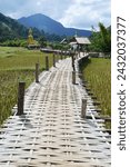 Small photo of PHRAE , THAILAND - DEC 4 , 2023 : A bamboo bridge to Phra Chao Ton Luang a large outdoor golden Buddha statue. Sitting in the middle of a rice field at Wat Nakhuha there are beautiful natural places.