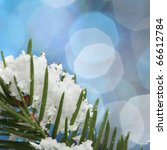 snow covered fir tree on... | Shutterstock . vector #66612784