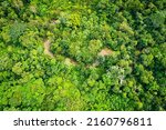 Amazon Rainforest Aerial View....