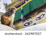 Stupa In Swayambhunath Monkey...