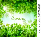 written word spring. season... | Shutterstock .eps vector #360726281