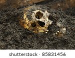 Real Human Skull On Wet Soil...