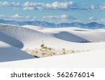 Unusual White Sand Dunes At...