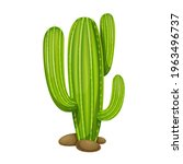 Mexican Cactus Vector...